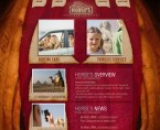 horses website 145x118 Horses Company Website