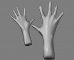 human hand 145x118 Human Hand Anatomy