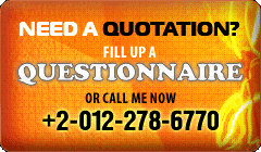 website-questionnaire-trans